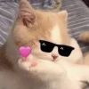 a111111