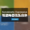 Sonokinetic Espressivo 惊悚恐怖管弦乐音色