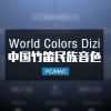 World Colors Dizi 中国民乐竹笛音色