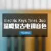 Electric Keys Tines Duo 温暖复古电钢组合音色