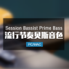 Session Bassist Prime Bass 流行节奏贝斯音色