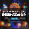 2020绝版采样包 Cymatics——Dreams WAV MiDi