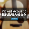 拨片指弹吉他 Session Guitarist Picked Acoustic