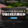 扫弦木吉他 Session Guitarist Strummed Acoustic 2
