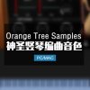 神圣竖琴 Orange Tree Samples Angelic Harp