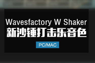 沙锤打击乐 Wavesfactory W-Shaker