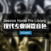 现代铜管萨克斯音源 Session Horns Pro 完整版