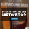 橘子树贝司音色 Evolution Flatwound Bass