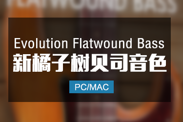 橘子树贝司音色 Evolution Flatwound Bass