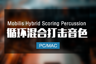 Mobilis Hybrid Scoring Percussion 循环混合打击乐