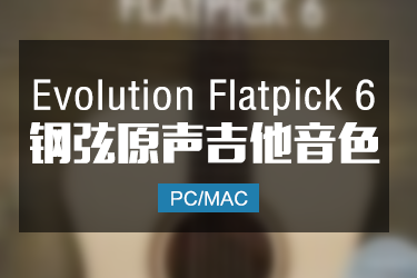 Evolution Flatpick 6 钢弦原声吉他音色