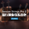 Session Strings Pro 2 流行独奏合奏弦乐音色