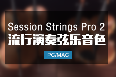 Session Strings Pro 2 流行独奏合奏弦乐音色