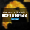 KSHMR系列精品采样包Splice Sounds of KSHMR VOL.2