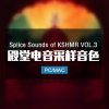 KSHMR系列精品采样包Splice Sounds of KSHMR VOL.3