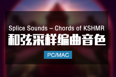 Splice Sounds – Chords of KSHMR 和弦采样包