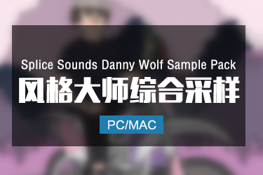 Splice Sounds Danny Wolf Sample Pack 风格大师综合采样