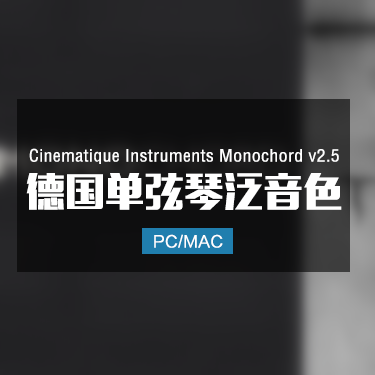 Cinematique Instruments Monochord v2.5 德国单弦琴 IMG7