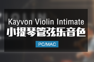 Kayvon Violin Intimate 亲密小提琴音色