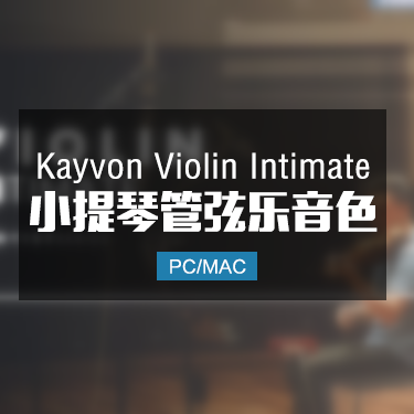 Kayvon Violin Intimate 亲密小提琴音色 IMG6