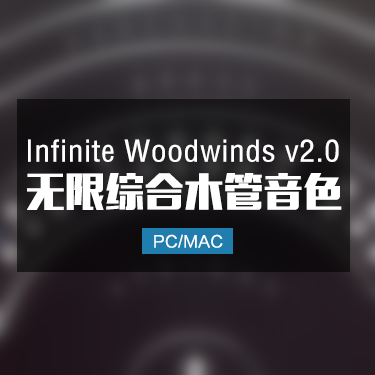Infinite Woodwinds v2.0 无限综合木管音色 IMG5