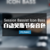 Session Bassist  Icon Bass 自动节奏贝斯音色
