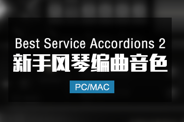 Best Service Accordions 2 手风琴音色