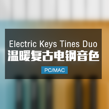 Electric Keys Tines Duo 温暖复古电钢组合音色 IMG1