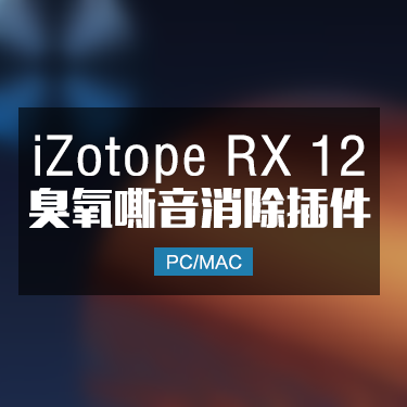 iZotope RX 12 Advanced 臭氧嘶音消除插件 Win/Mac